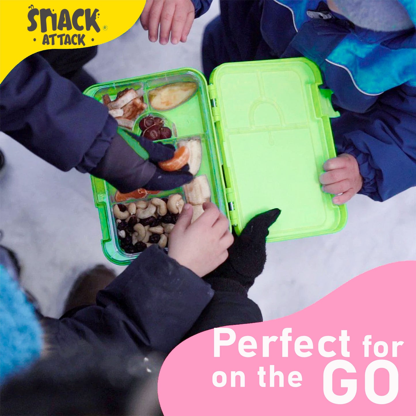 Lunch Box for Kids – 4/6 Compartments Dino X theme