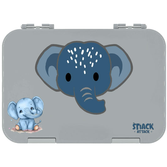 Gray Bento Lunch Box for Kids – 4/6 Compartments