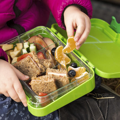 Avocado Green Kids Bento Lunch Box – 4/6