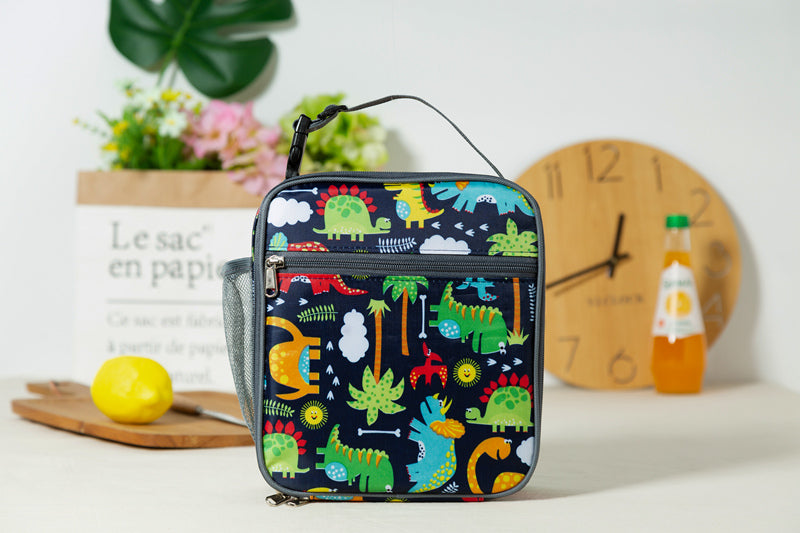 Colourful Dinosaur Lunch Box, School Lunch Bag