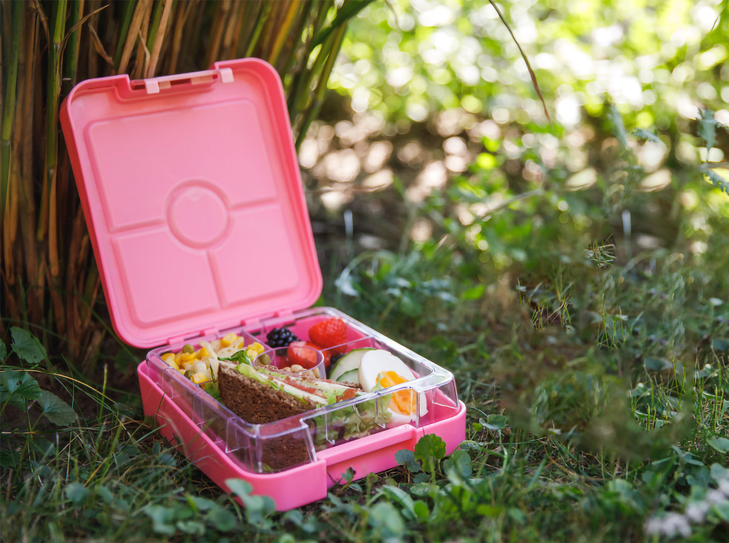 Mini Bento Snack Box – Hollywood Pink Deer